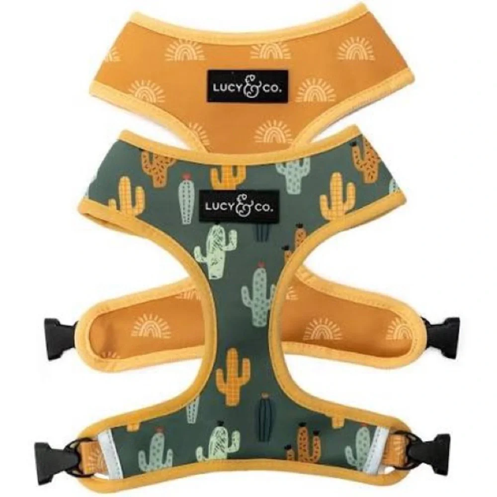 Lucy & Co. Reversible Dog Harnesses – Size Medium (Set of 2)